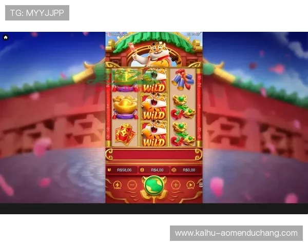 wm视讯游戏官网安全可靠，多样化玩法满足不同玩家的需求