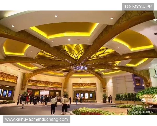澳门百老汇手机app下载后如何优化体验，提升娱乐享受的方法和技巧